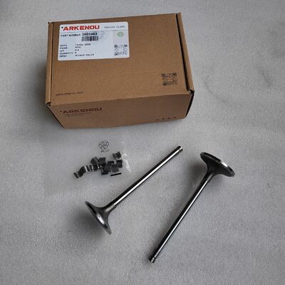 6CT Intake Exhaust Valve 3802463