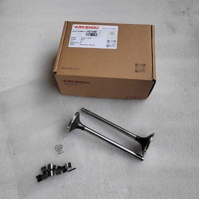 Diesel Engine 6CT8.3 6D114 Exhaust Valve 3921444