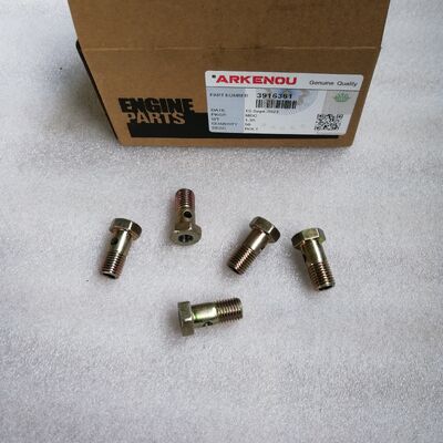 Engine Parts B5.9 Banjo Connector Screw 3916361 for  Engine