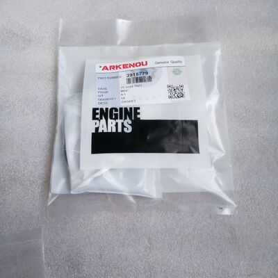 China Supplier Engine Parts 3918779 6CT 6L Connection Gasket