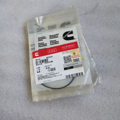 6CT Engine O Ring Seal 3903546
