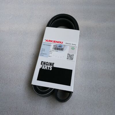 Belt 8pk1443 for  4BT 6BT 6CT 6LTA Engine