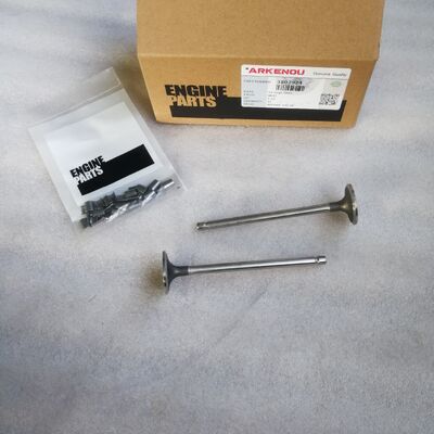 High Quality Spare Parts for  QSB6.7 Engine Intake Valve 3802924