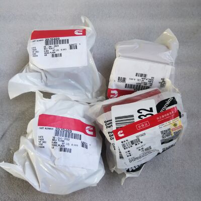 Models containing the spare part 3970409 Plain hose Engines QSB5.9