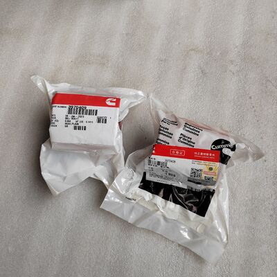 Models containing the spare part 3970409 Plain hose Engines QSB5.9