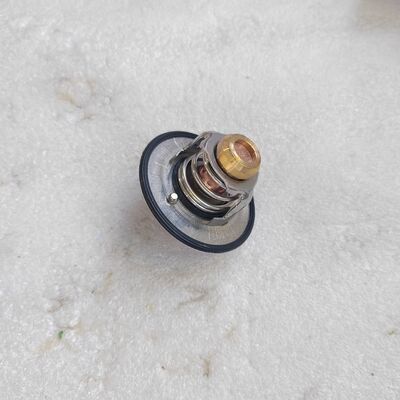 Models containing the spare part 3954195 Thermostat Engines QSB5.9