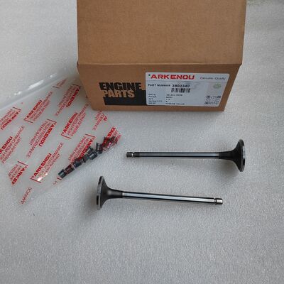 6L QSC 6CT Intake Valve Kit 3800340  diesel Engine Parts