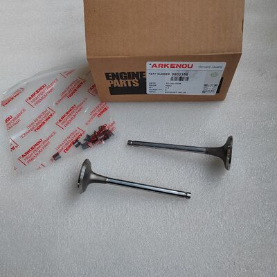 High Quality 6BT5.9 Engine Parts Exhaust Valve 3802356