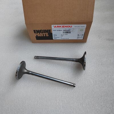 6CT Intake Valve 3802463 diesel Engine Parts for Generator
