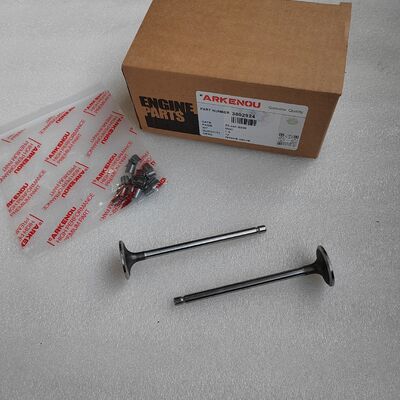 High Quality Spare Parts for  QSB6.7 Engine Intake Valve 3802924