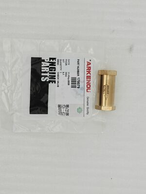 Diesel Engine Parts Fuel Oil Check Valve Nt855 178079