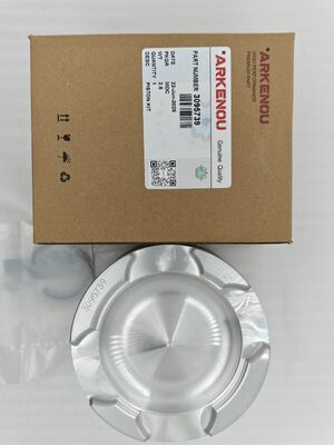 High Quality Diesel Engine Piston Parts NT855  3095739