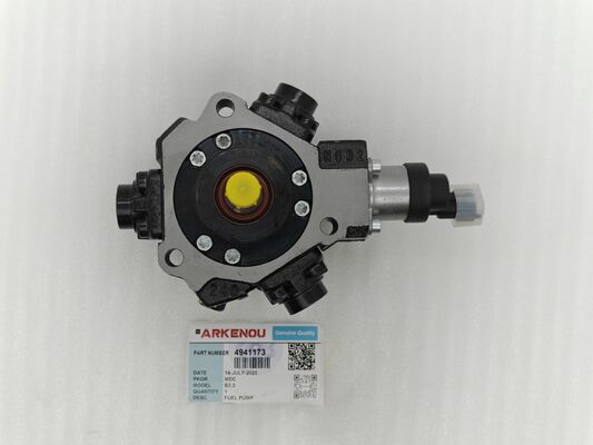 Fuel Injection Pump 4941173  for  Enigne B3.3 QSB3.3
