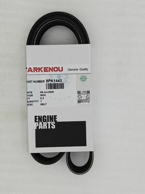 Belt 8pk1443 for  4BT 6BT 6CT 6LTA Engine