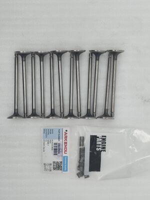 High Quality Diesel QSB6.7 Engine Spare Parts Intake Valve 3802924