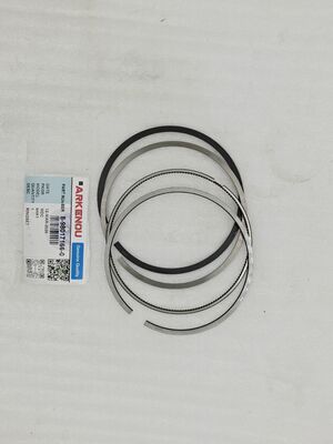 Genuine MAHLE Manufacturer Diesel Engine 8-98017166-0 4HK1 6HK1 6HK1T Piston Ring for Isuzu ZX330 Spare Parts
