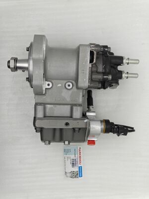 Diesel Engine Parts Fuel Injection Pump 4307021  for QSL8.9