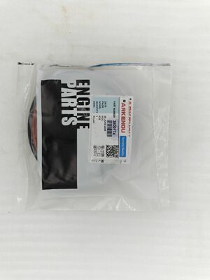 NT855 Diesel Engine Cylinder Liner Seal Ring AR51477 3800174