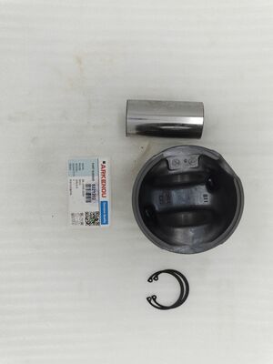 DCEC Supply Construction Machinery QSL8.9 High Quality Piston for Engine 5321202 with 6 Month Warranty CN HUB