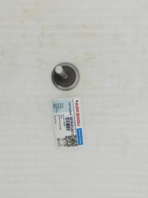 6215-41-4212 High Quality Engine Exhaust Valve for 6D140 Spot Supply