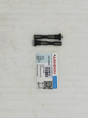 WEIYUAN New Truck Engine Fuel Pump Govr Plunger 3010810 for Nt855 Nta855 PT Fuel Pump Plunger